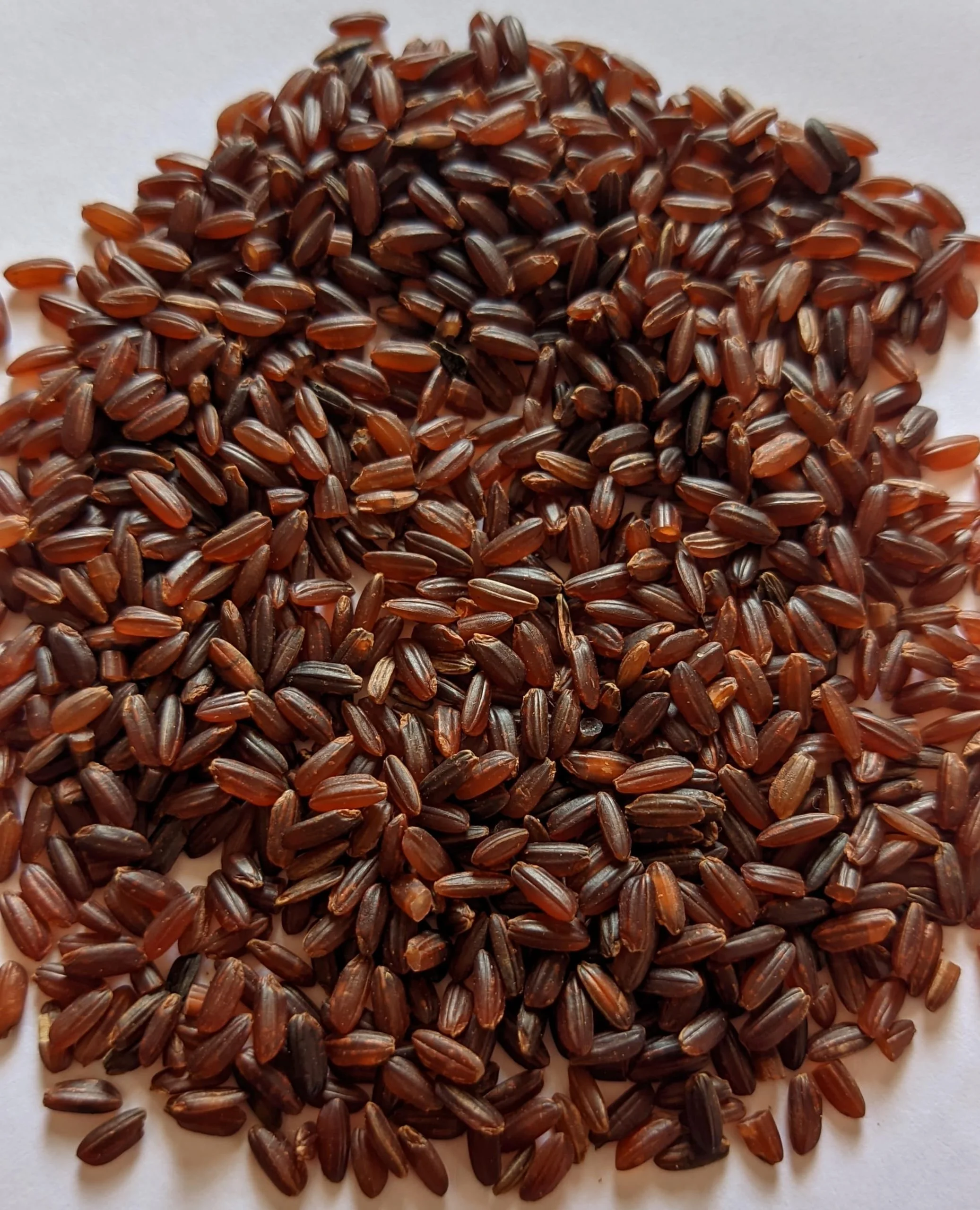 organic mapillai samba rice