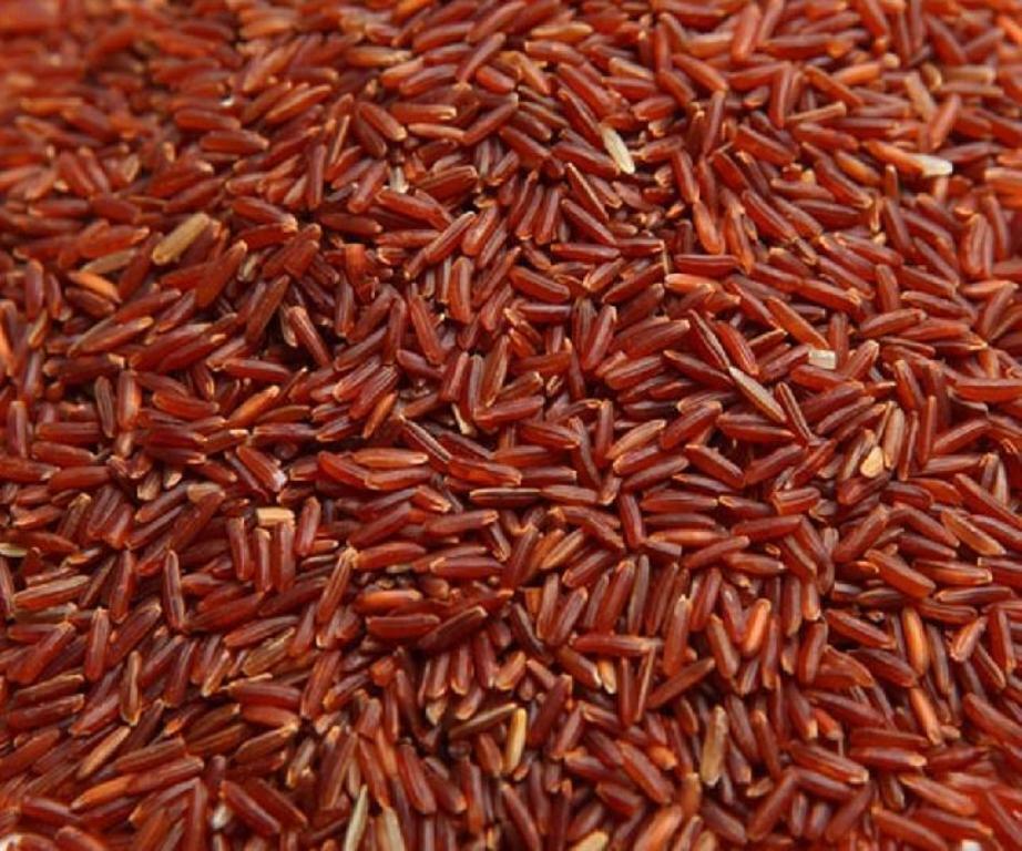 Buy Organic Raktashali Rice | Red Rice | Dharani Naturals