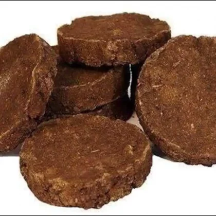 Cow Dung Cakes